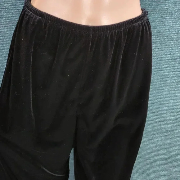 Black Velvet Pants Sag Harbor Petites - Picture 4 of 11